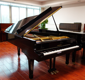 YAMAHA G7