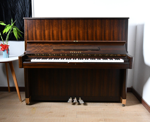 U5H-1659451