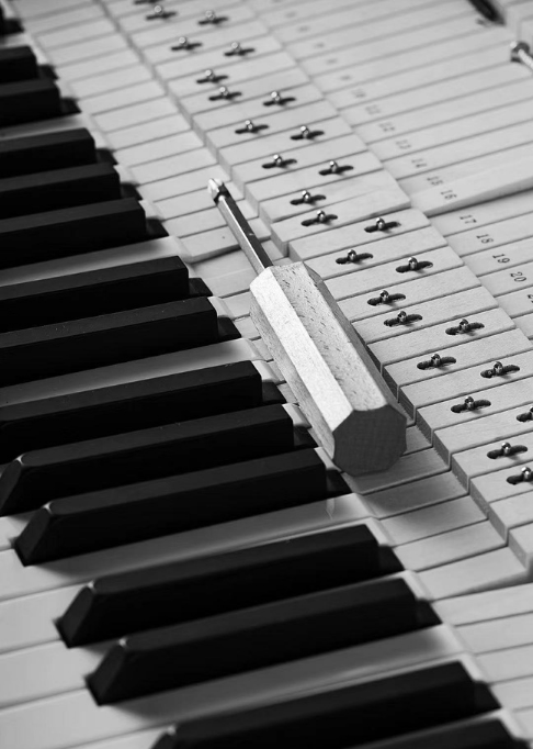 PIANO DROIT RIPPEN – Bondaz Transmusic